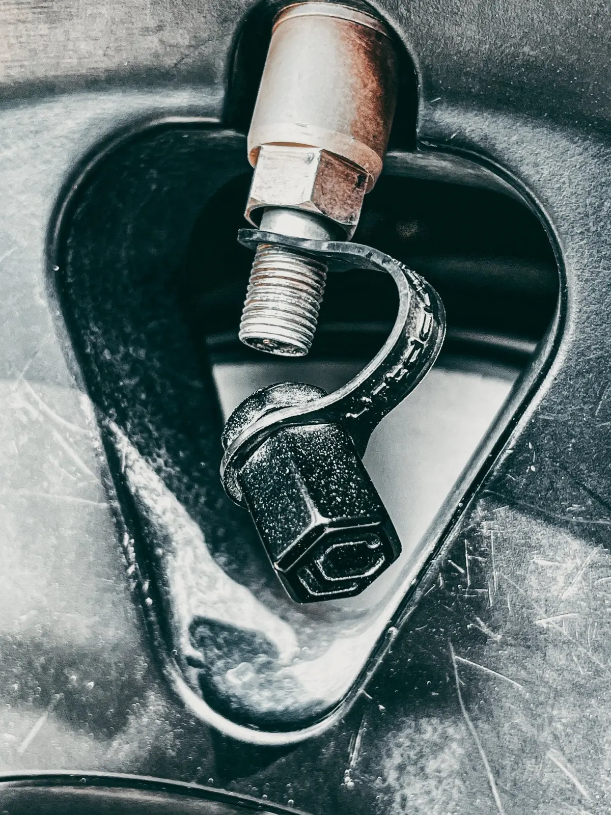 Leashed Valve Stem Caps 1
