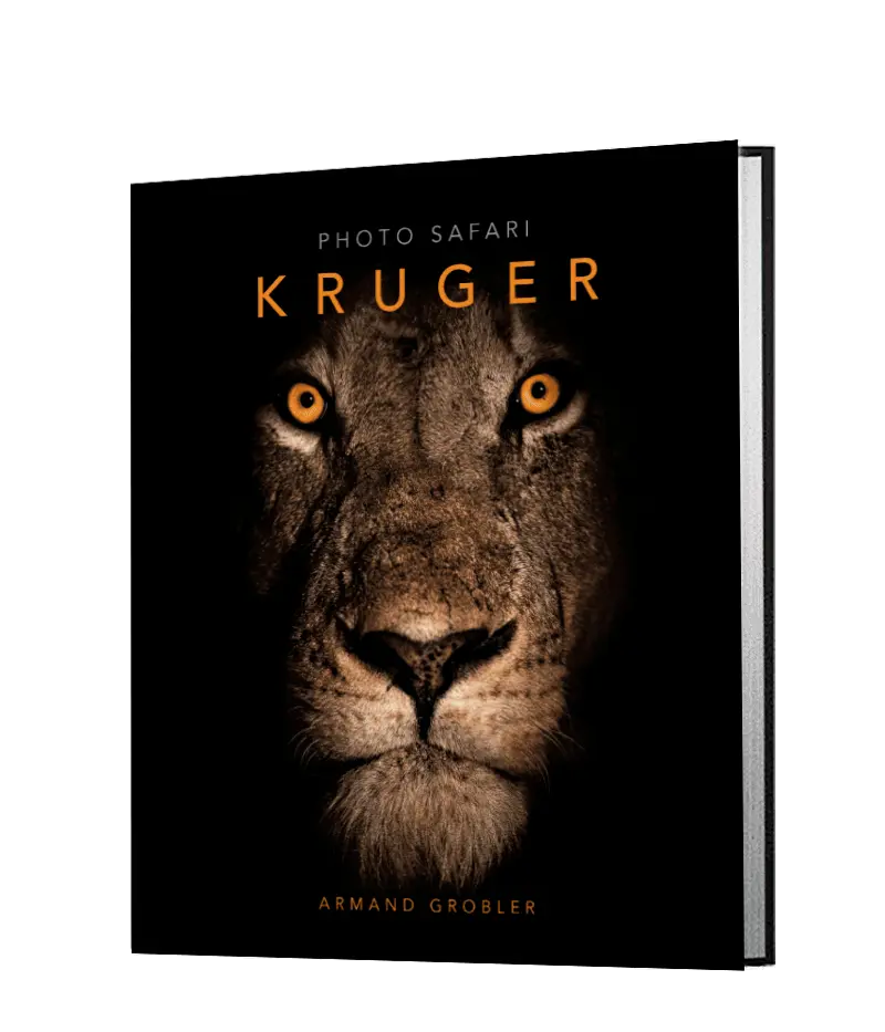Photo Safari – Kruger 1
