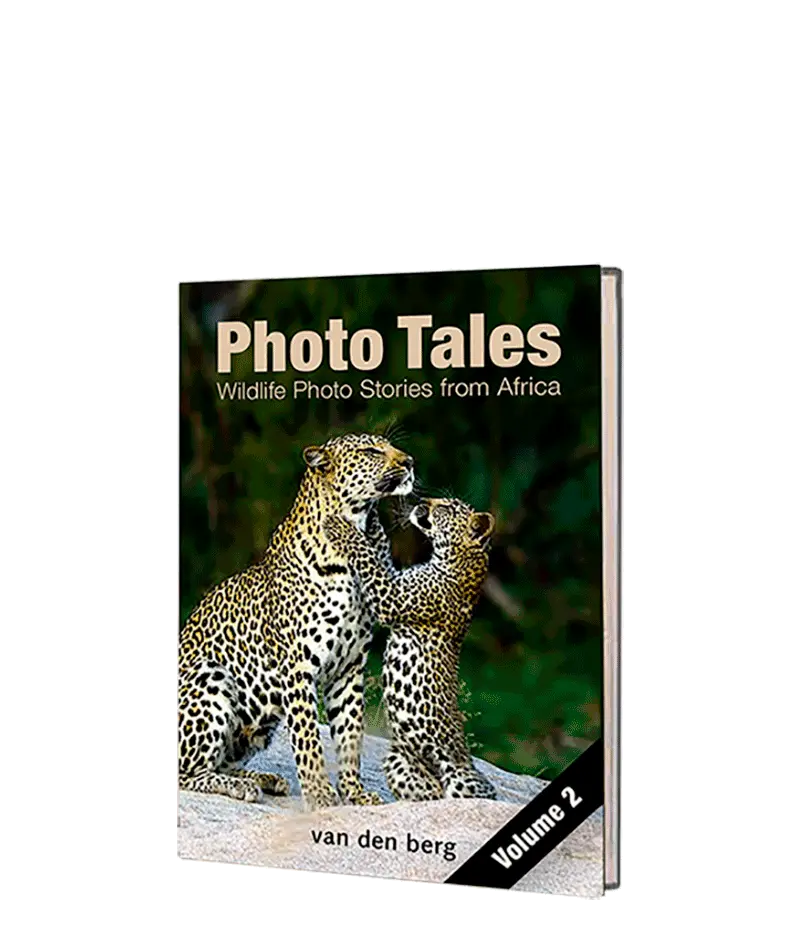 Photo Tales - Volume 2 1